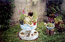 пикинесик Кнопка в цветочках